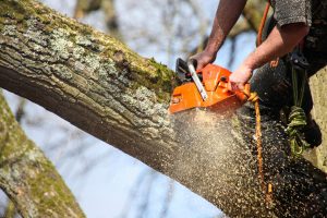 Cutting Edge Tree Service